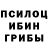 Псилоцибиновые грибы Magic Shrooms Veronyka Maftej