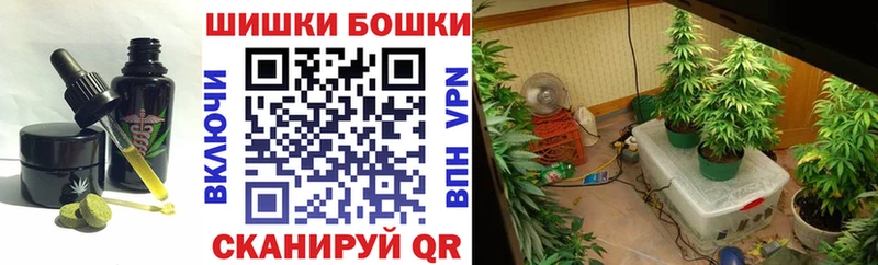 MEGA tor  Завитинск  Canna-Cookies марихуана  купить наркотики сайты 
