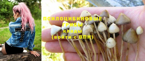 мяу мяу кристалл Аркадак