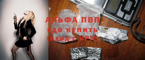 spice Арсеньев