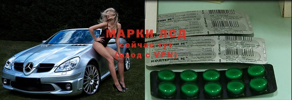 spice Арсеньев