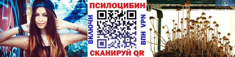 нарко площадка телеграм  Завитинск  Галлюциногенные грибы MAGIC MUSHROOMS  закладки 